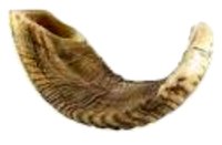 Lo shofar